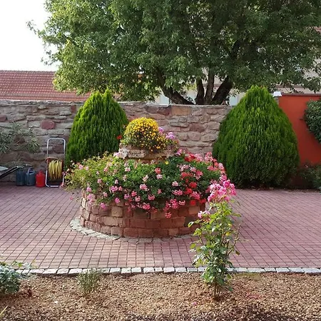 Le Gite 'Humulus' Bilwisheim Exterior photo