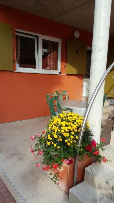 Appartement Le 'humulus'