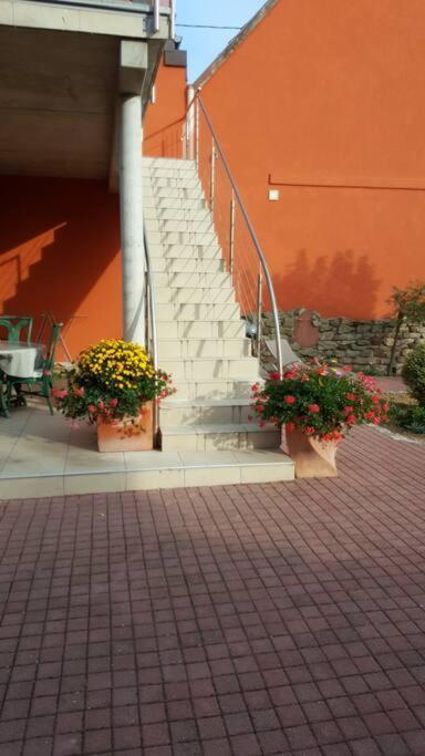 Appartement Le 'humulus' Bilwisheim