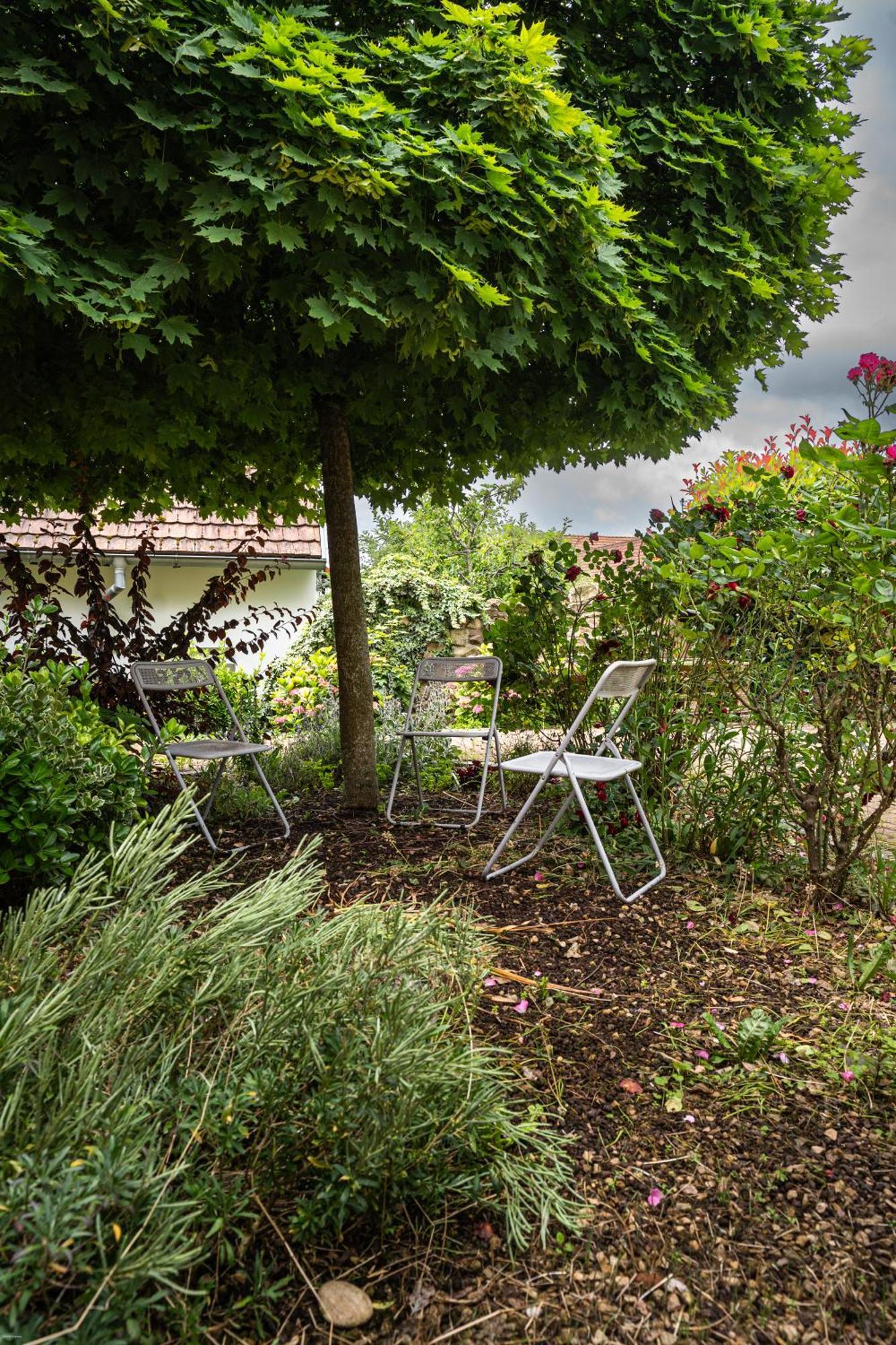 Apartment Le 'humulus'